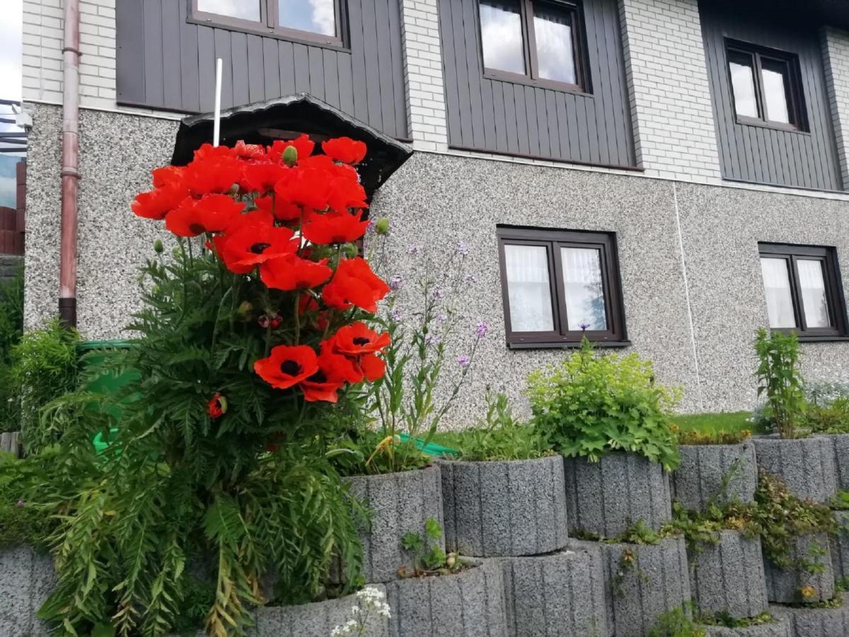 Ferienwohnung Suetovius โอเบอร์วีเซินธาล ภายนอก รูปภาพ